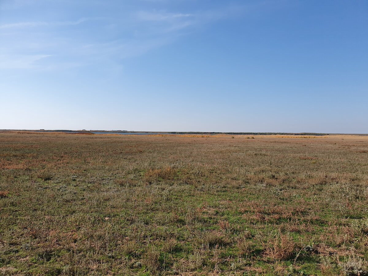 Если присмотреться, то видно ильмень. 