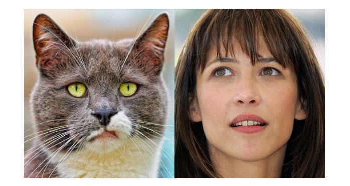 усталое лицо