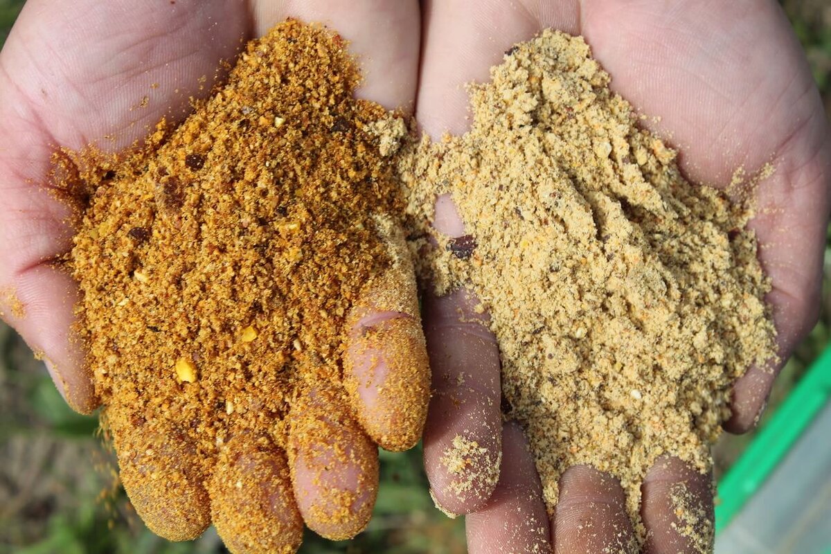 Фото - Яндекс.Картинки