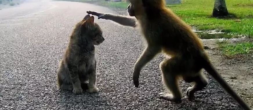 Фото взято в сети интернет в свободном доступе