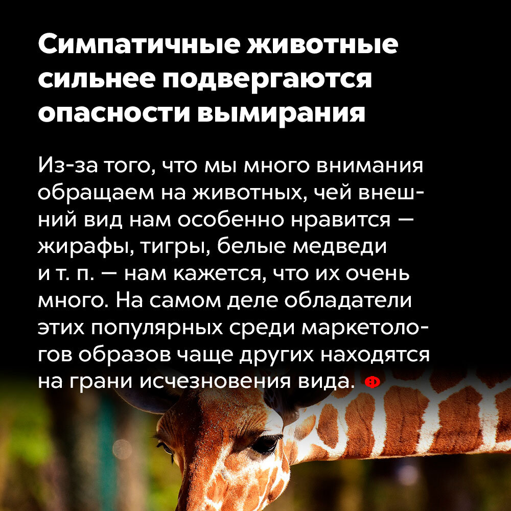 Жизнь подвергается опасности. Опасность исчезновения животных. Чем опасно вымирание животных. Животные которые подвергаются опасности. Фактрум животные.