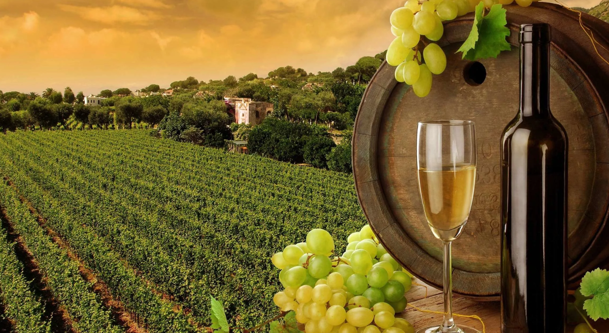 Виноделие, Законопроект, Кисерёв, Россия, Пропагандист, Путин, Власть.