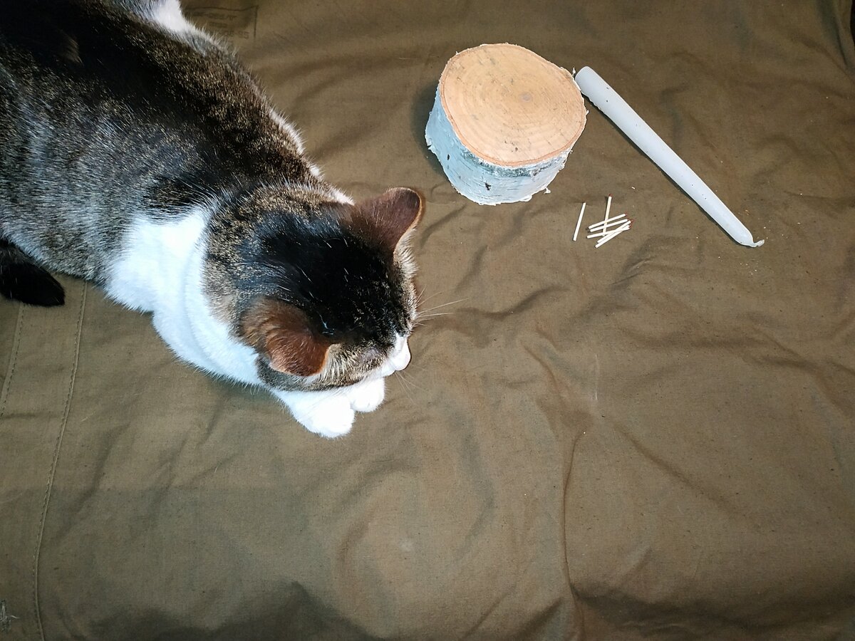 спички, свеча, мой любимый кот Адольф; ваты дома не оказалось, пришлось искать её остатки..., но можно использовать и кусочек бинта