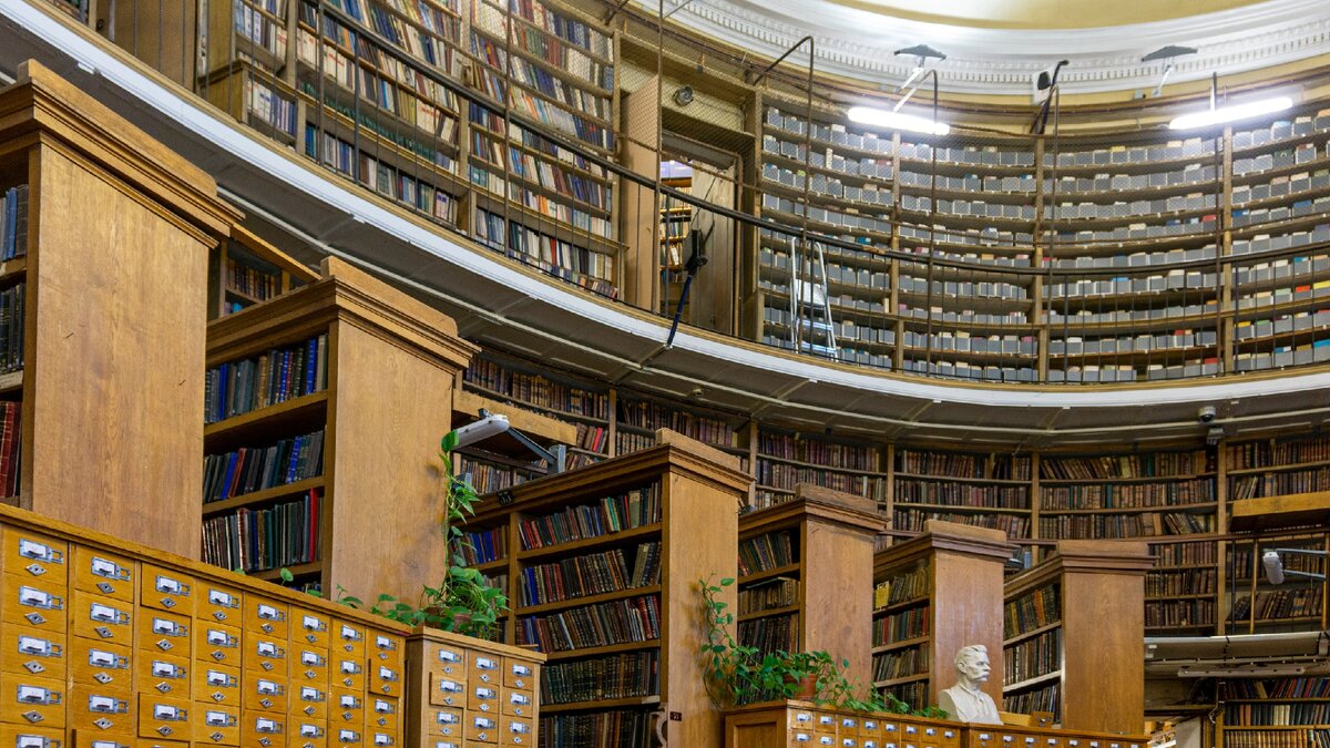 Библиотека им салтыкова щедрина санкт петербург