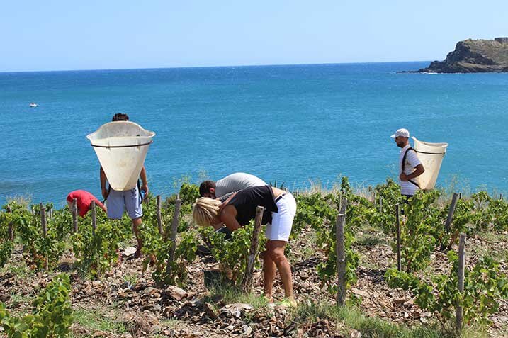 https://www.visitfrenchwine.com/