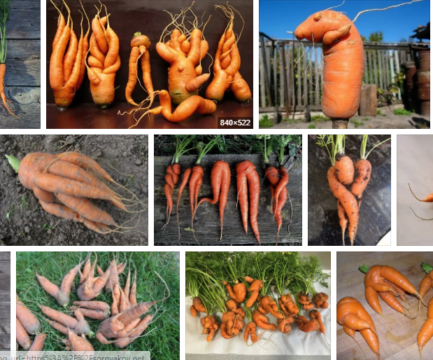 Фотоподборка из сети