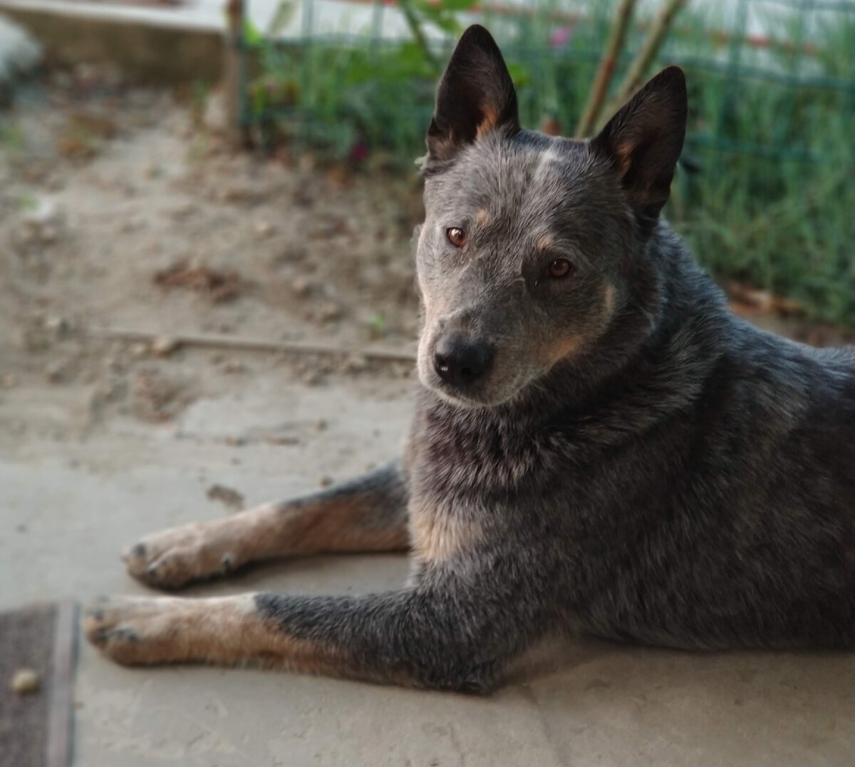 Фото из личного архива