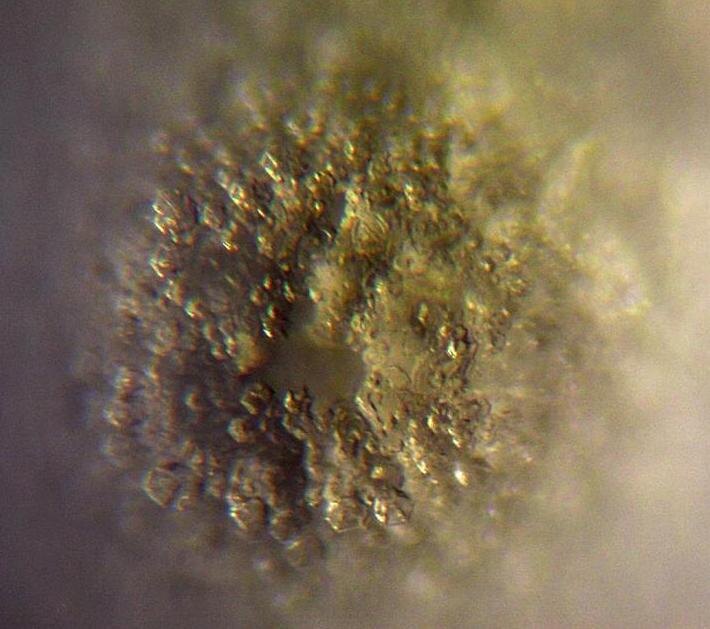 Кольцевая форма