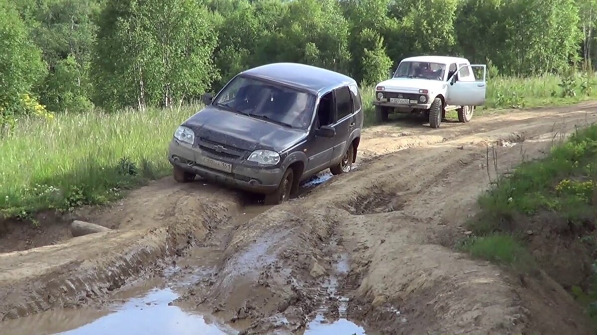 Изображение с сайта Яндекс картинки.