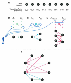 Источник: сскриншот