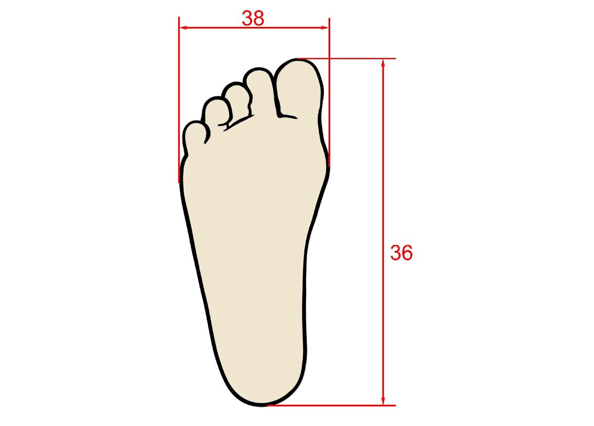 38 сантиметров. Ступни 36 размера. Размер 36 размер ступни. Ступни женщин размер 36. Женские ступни 36 размера.