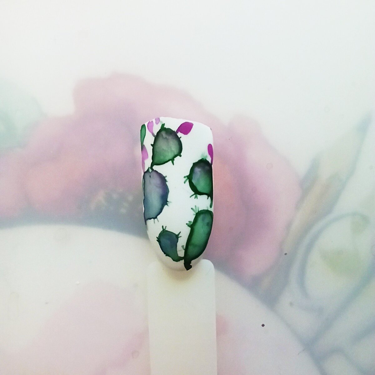 Фото автора 🌵