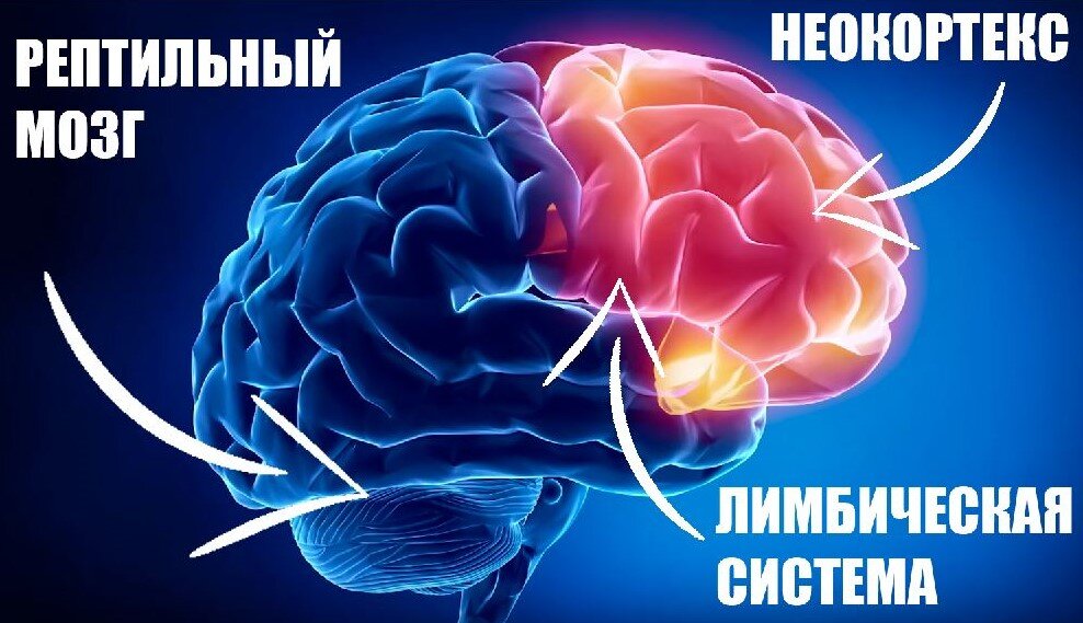 Источник изображения: https://geniusmarketing.me