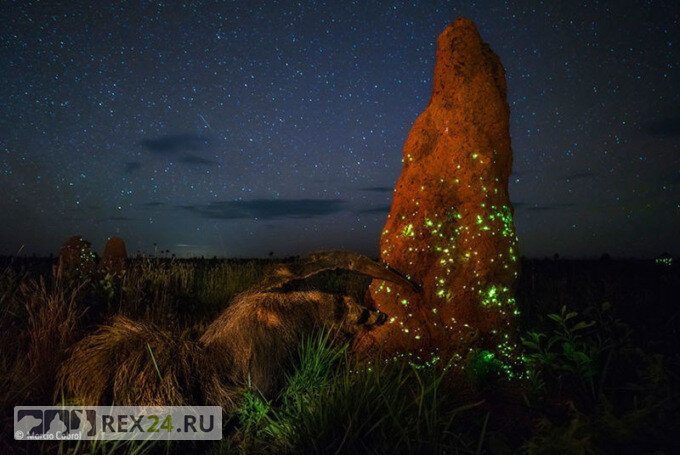 Фото: Марцио Кабрал