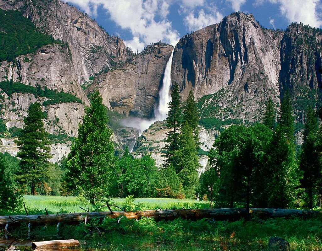 Какие есть природные парки. Национальный парк Йосемит. Долина Йосемити, США. Йосемитский национальный парк США. Калифорния Йосемитский парк.