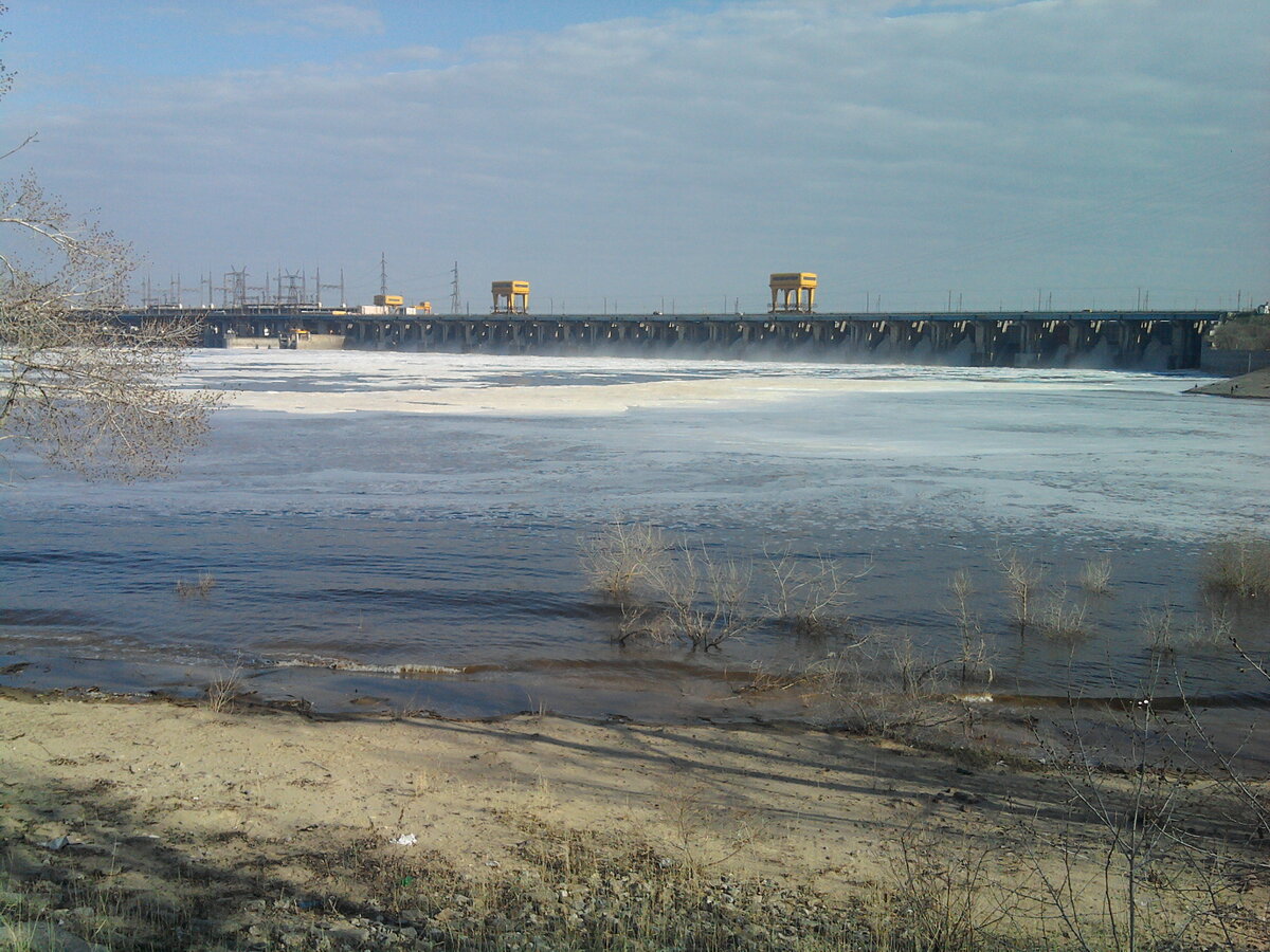 Эту фотографию я сделал в двадцати метрах от калитки.