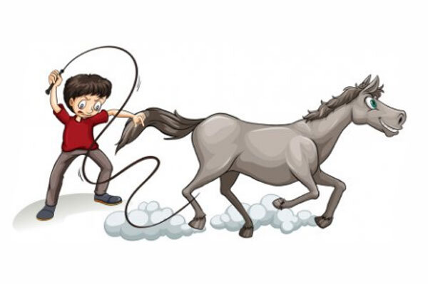 Источник фото сервис Яндекс.Картинки