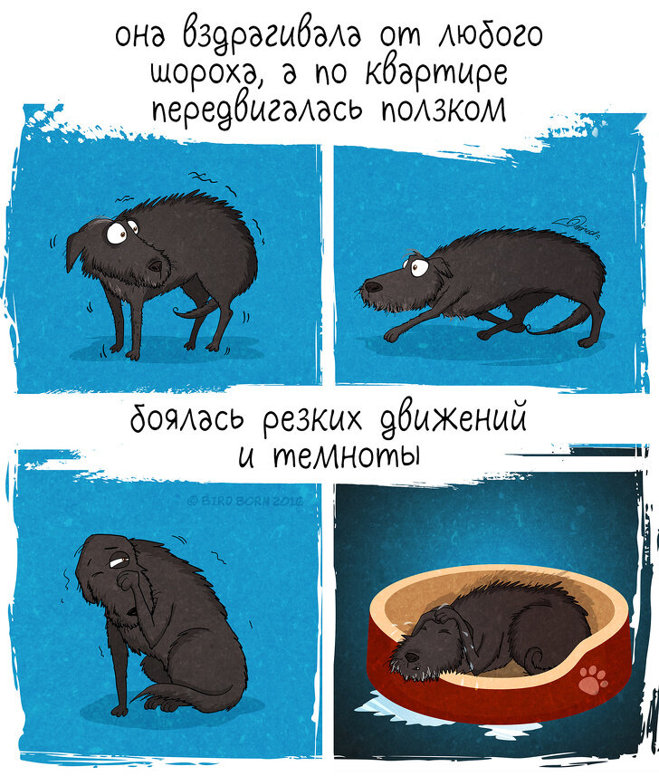 Источник @bird.born