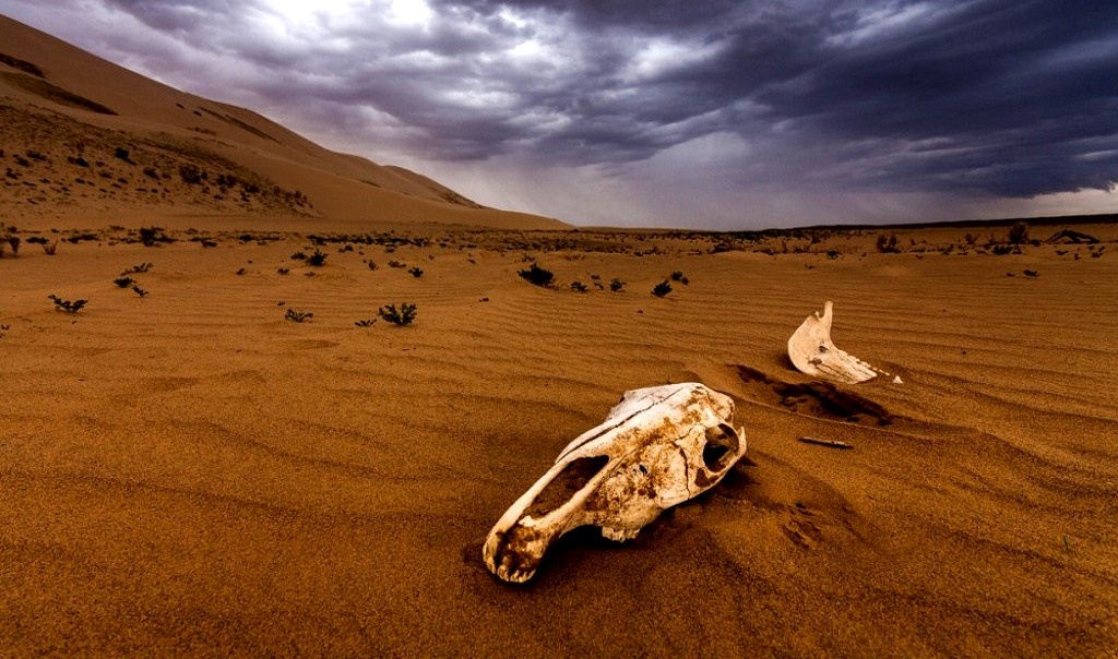 Пустыня Гоби