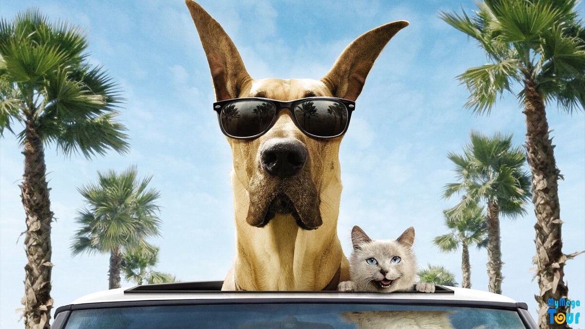 Путешествие с животными