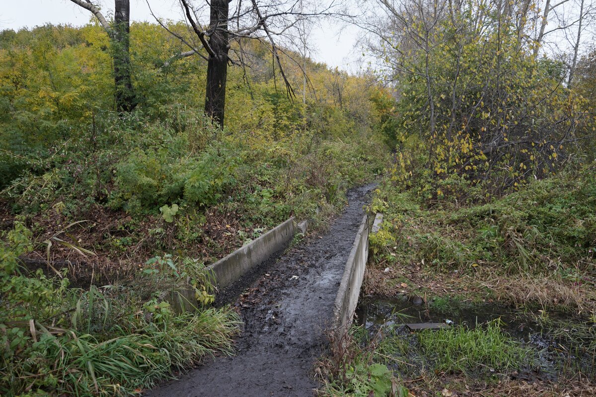 Мост через Абушку и тропинка в город у подножья заросшего террикона.