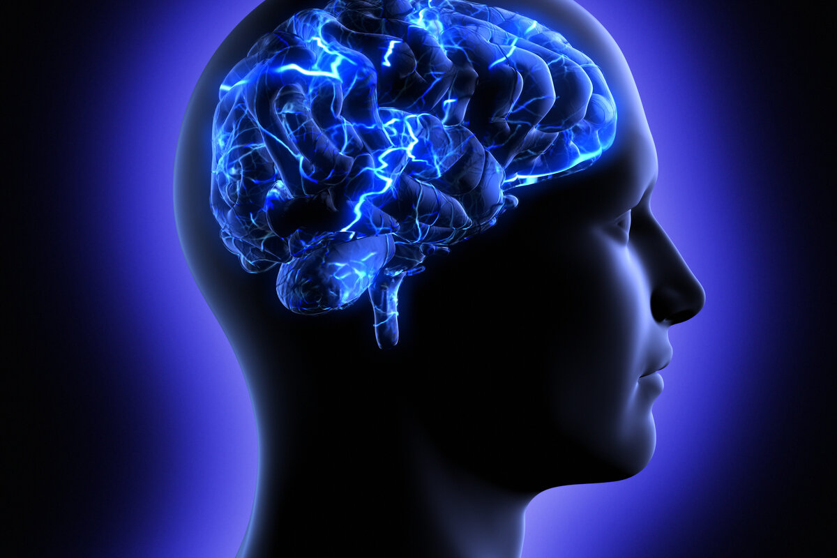 Синий мозг. Мозг память. Активный мозг.