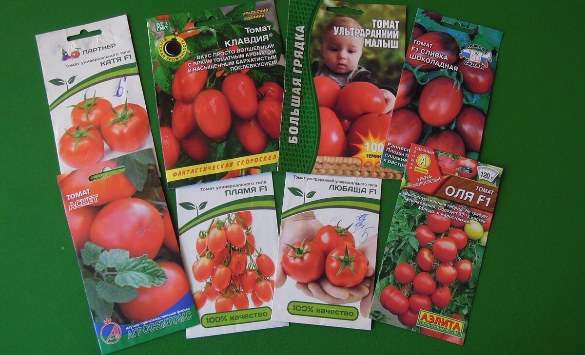 Семена урожайных томатов. Томат ультраранний низкорослый. Ультраранние томаты для теплицы. Томат ультраранний малыш. Помидоры ранние сорта низкорослые для открытого.