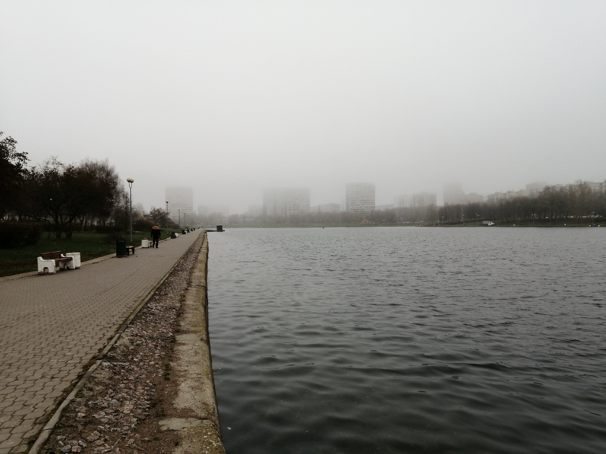 Гольяновский пруд, ноябрь 2019