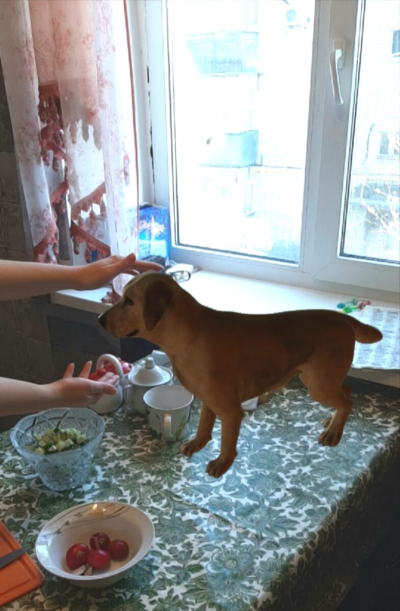 На фото я пытаюсь сделать салат и погладить виртуальную собаку