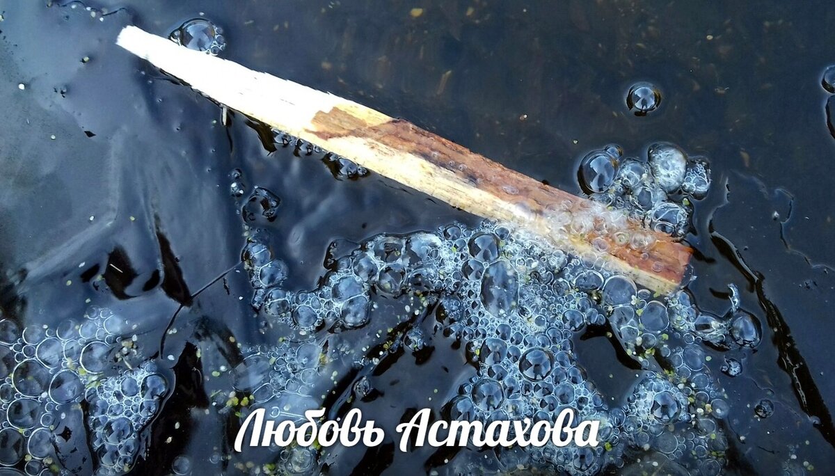 Нас несёт в потоке жизни... мы не можем влиять на сам поток, но мы можем влиять на собственное восприятие. И это можно сделать в любой момент. Наше восприятие внесёт коррективы в проживание, просто попробуйте это сделать. Листайте галерею.