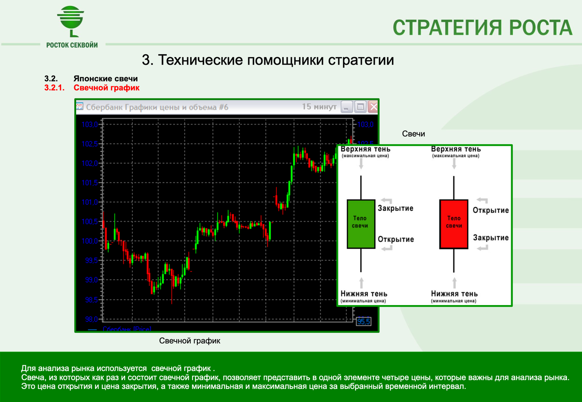 Слайд из  курса обучения по стратегии Росток Секвойи