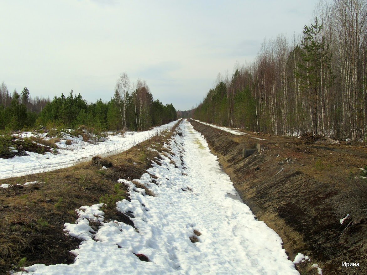 Снега еще много, само русло в снегу. 