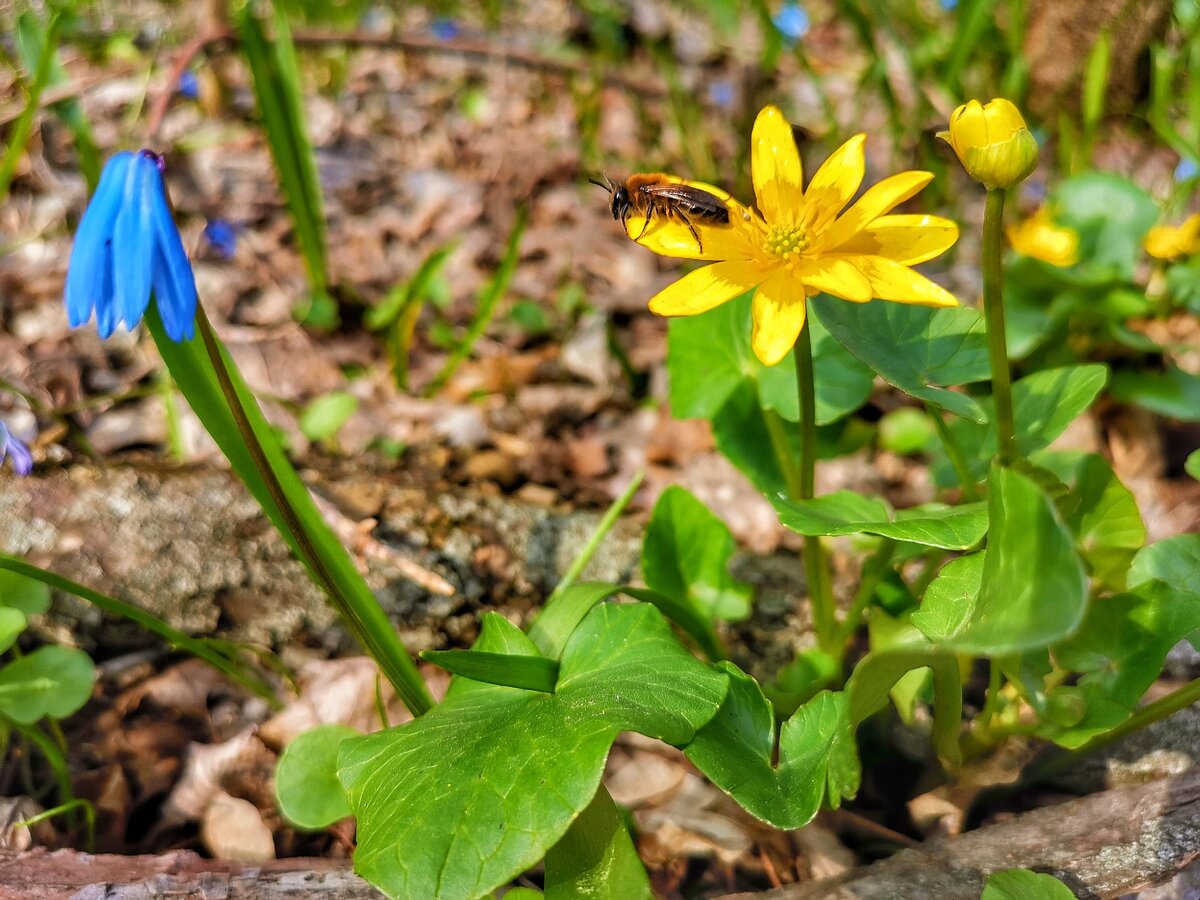Тружонеца греется