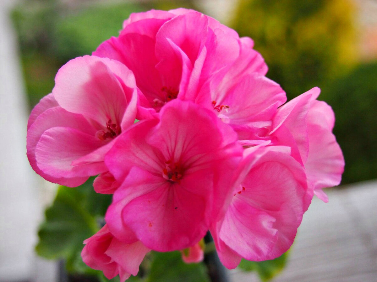 Фото: Галина Симаева