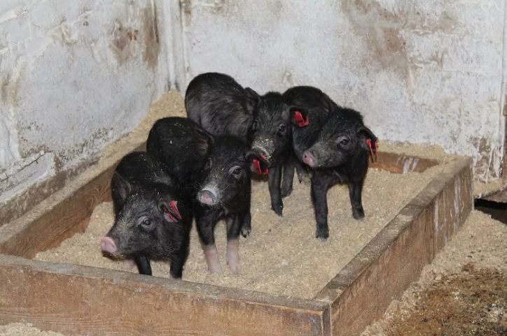 Фотография взята из источника svidetel24.info