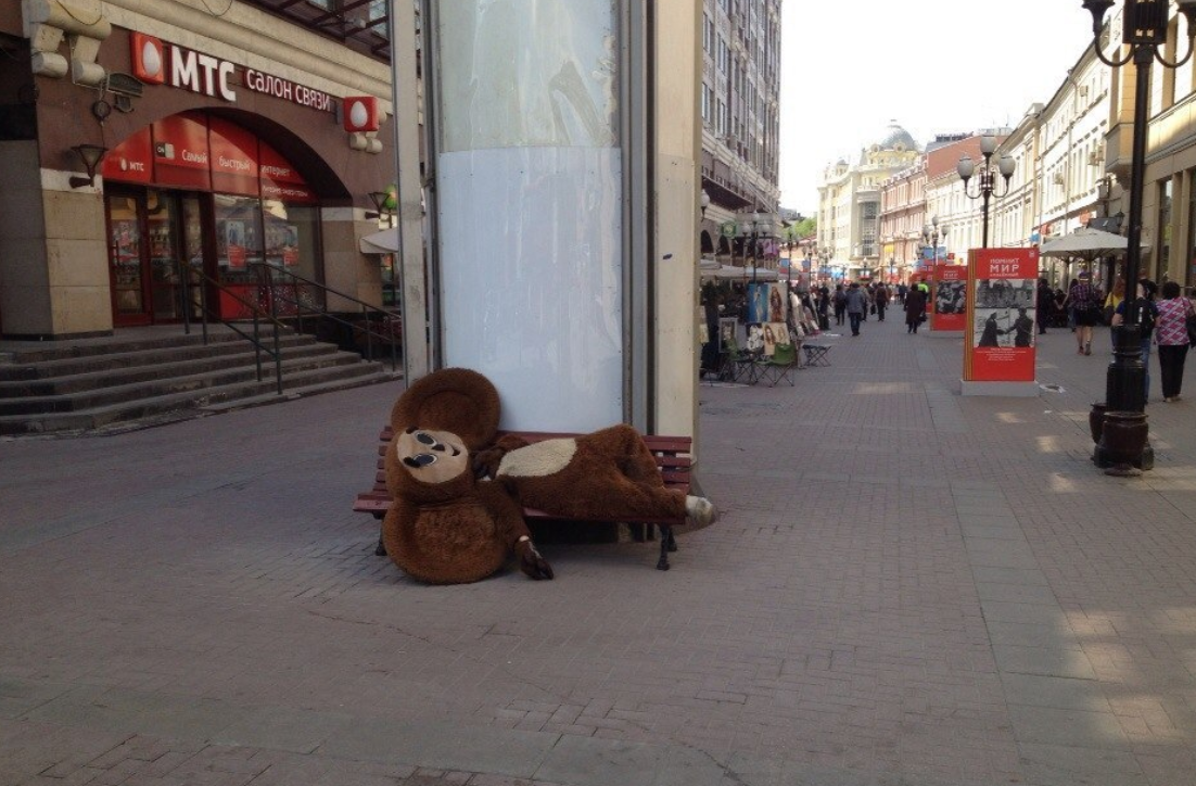 Чебурашка фото картинки прикольные