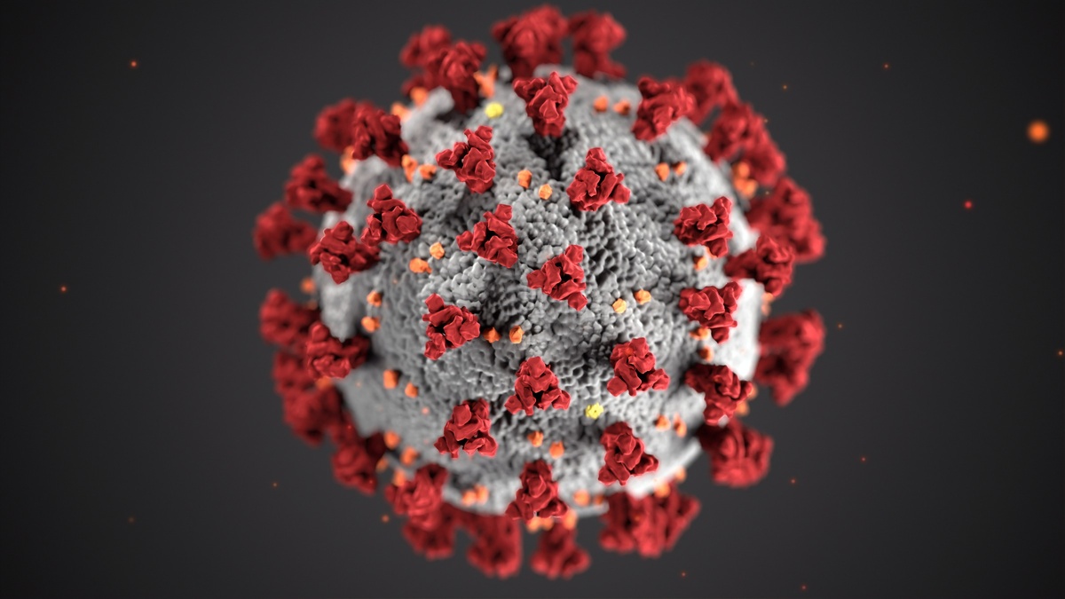 https://unsplash.com/s/photos/virus
