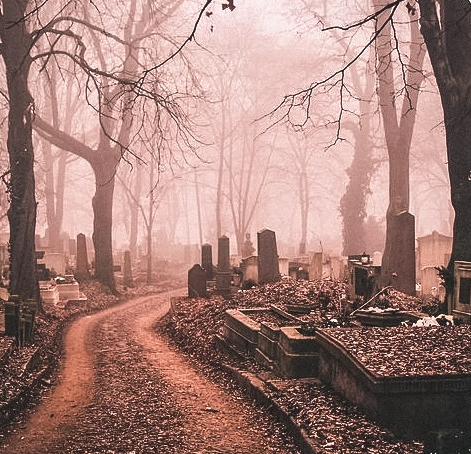 Погода, как назло, выдалась плаксивой и пасмурной. На кладбище, честно говоря, очень жутко, и хотелось поскорей всё закончить...