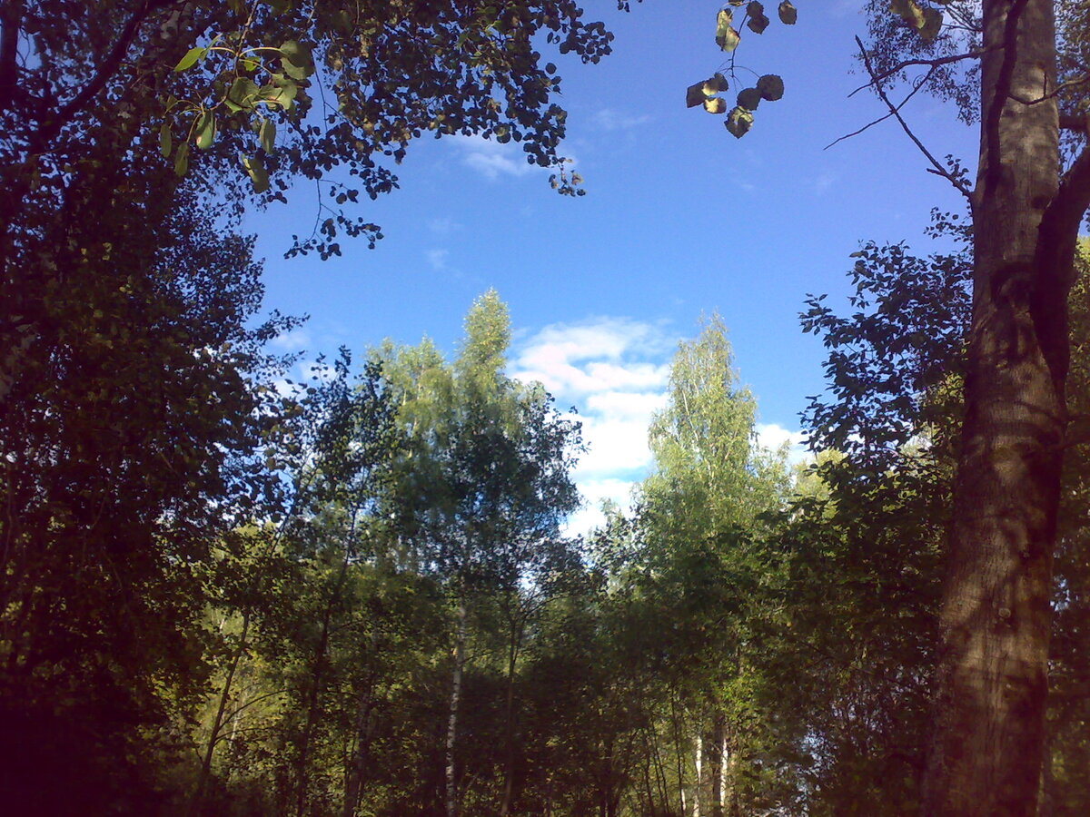 личное фото.