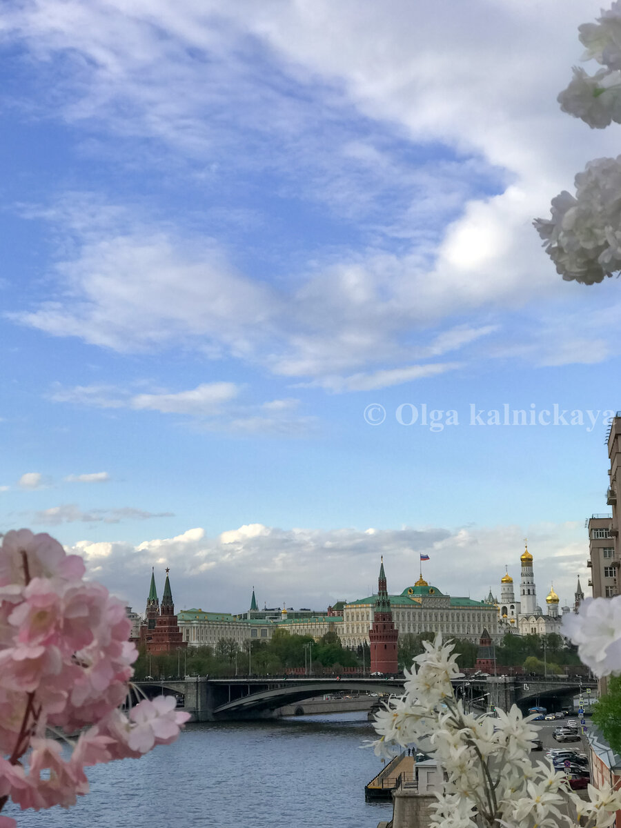 Москва. Россия 🇷🇺. Фото автора.