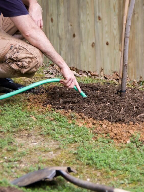 Фото: https://i.pinimg.com/