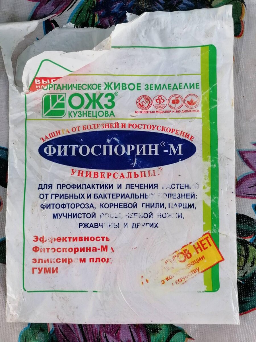 Фитоспорин огурцы