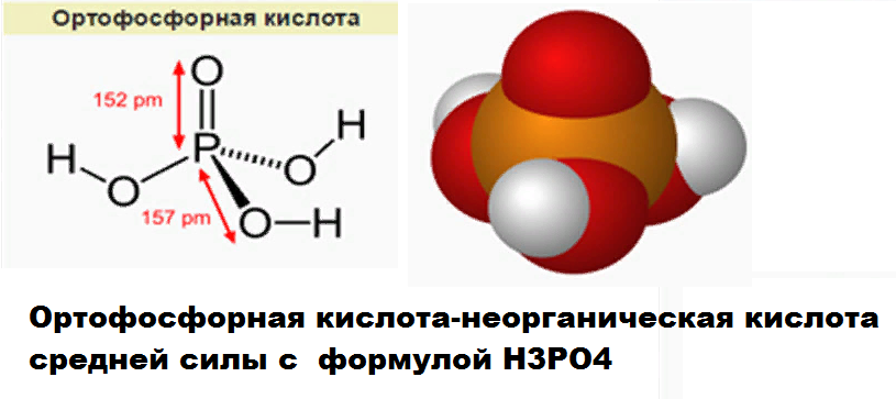 Вот она!  Героиня статьи во всей красе.