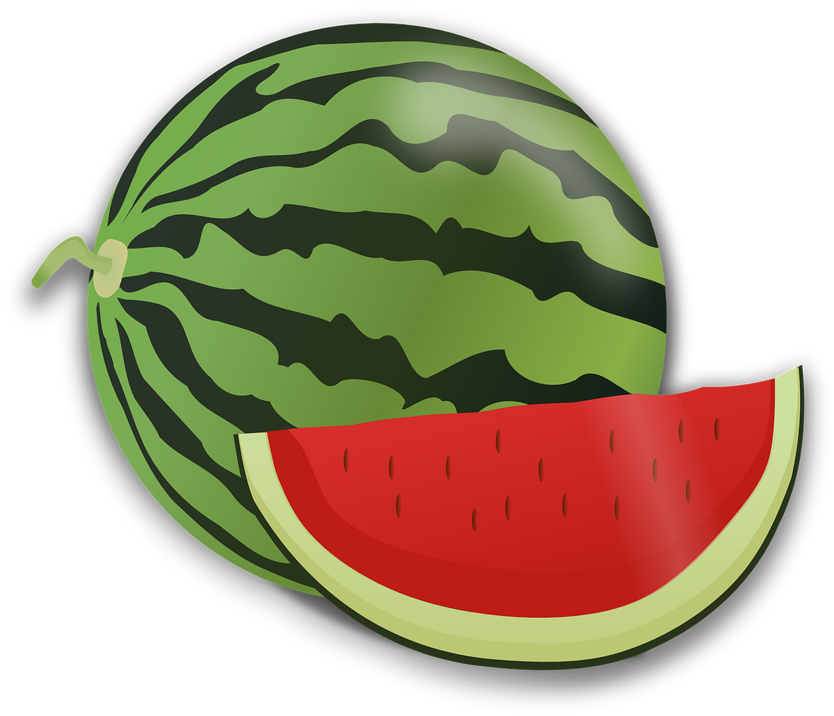 Watermelon gaming. Арбуз для детей. Арбуз мульт. Арбуз мультяшный. Арбуз вектор.