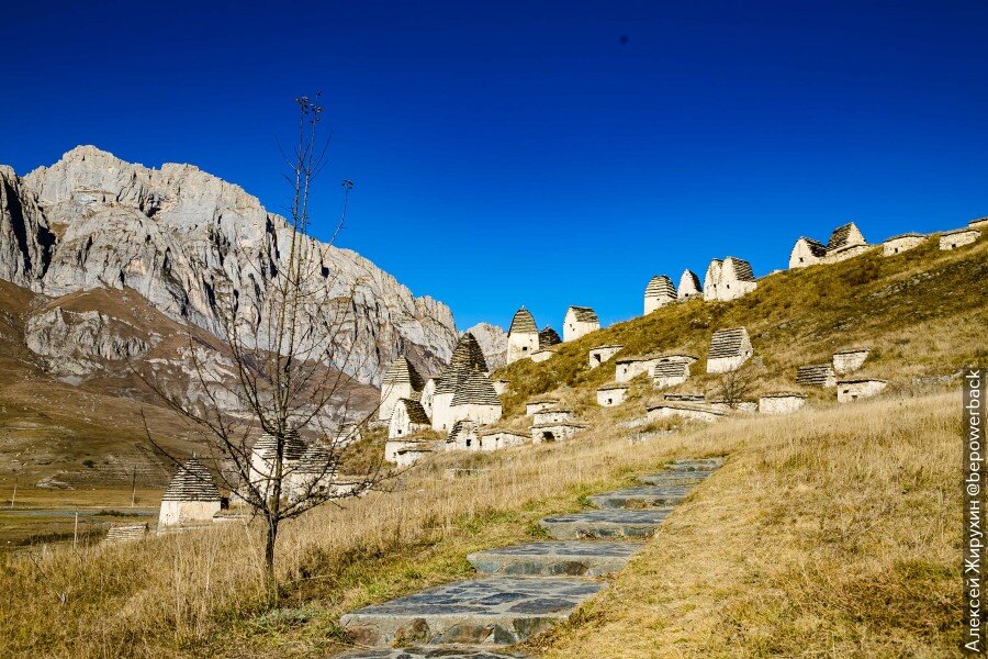 древний город алеппо сирия объект культурного наследия. назвали городом мертвых. осетия склепы даргавс северная. некрополь в с. новый орлеан город кладбище.