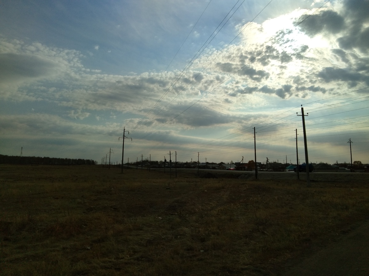 Осень дорога