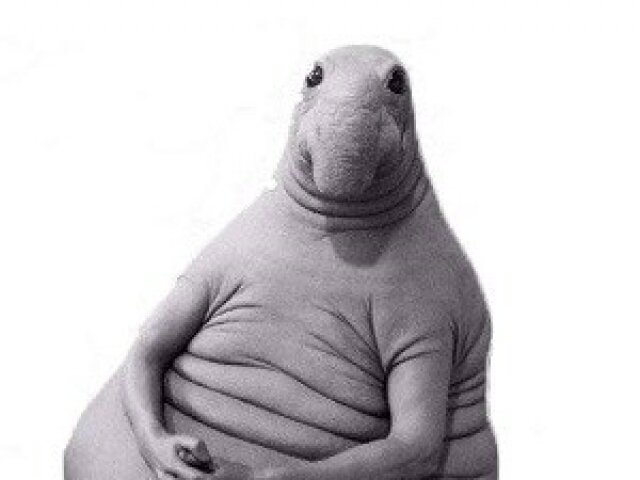 Картинка из открытого доступа