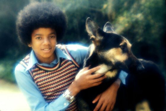 Майкл Джозеф Джексон – американский певец и танцор, начавший карьеру с выступлений в семейной группе «The Jacksons».-2