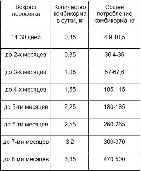 Как и чем кормить свиней для набора веса