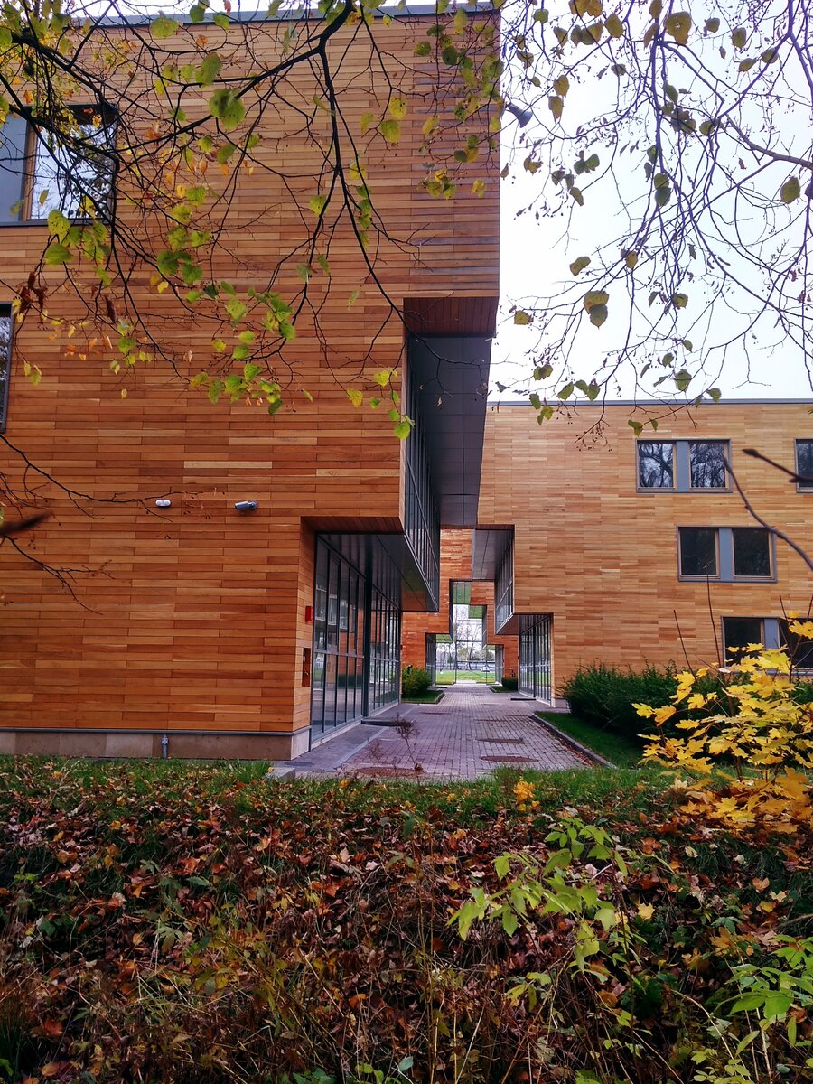 Новые здания- будущие кампусы. Они, конечно, не очень гармонируют со старинными постройками, но зато радуют архитектурной геометрией